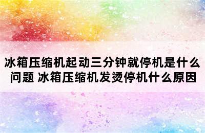 冰箱压缩机起动三分钟就停机是什么问题 冰箱压缩机发烫停机什么原因